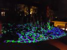 PICTURES/Desert Botanical Garden Electric Desert Exhibit/t_20181210_195729.jpg